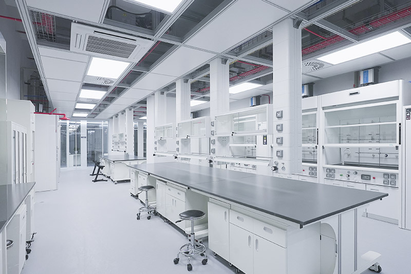 巢湖实验室革新：安全与科技的现代融合